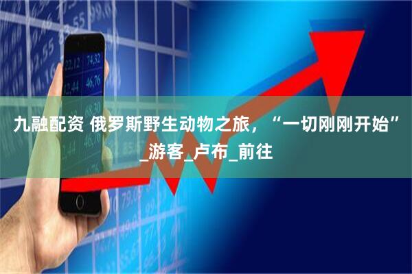 九融配资 俄罗斯野生动物之旅，“一切刚刚开始”_游客_卢布_前往