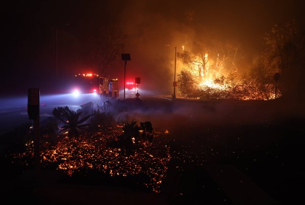 广瑞网  美加州“帕利塞兹”山火案纵火嫌疑人被捕